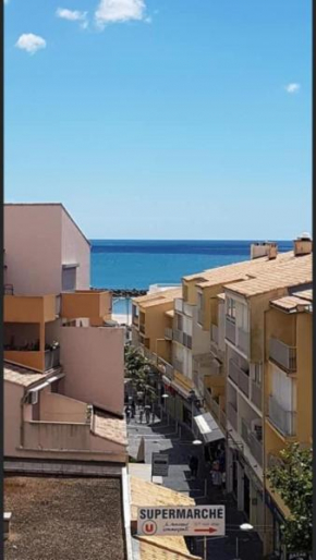 Vue Sur La Mer à 150m de la plage du Môle